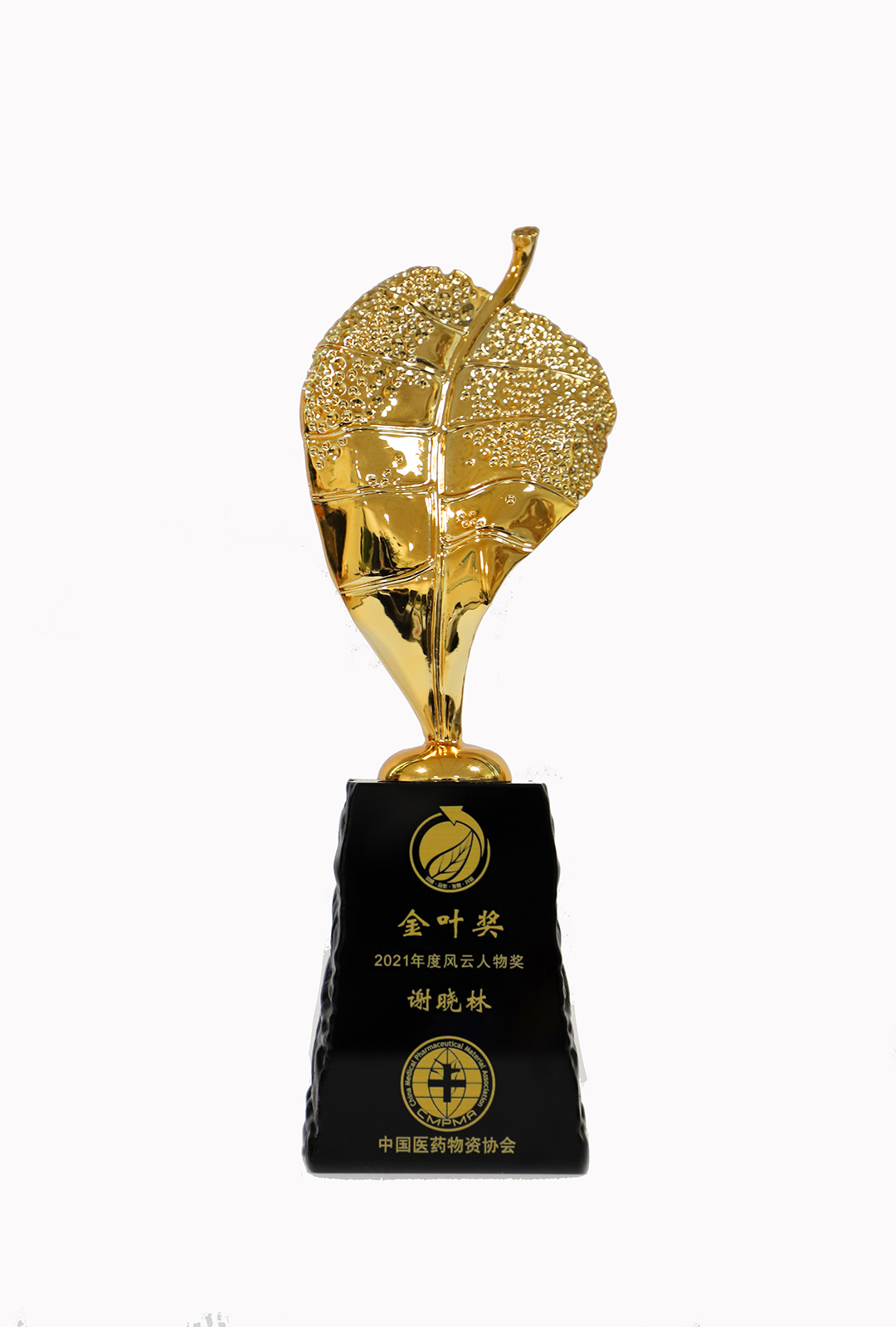 中國醫(yī)藥物資協(xié)會2021年度風云人物獎（金葉獎）.jpg